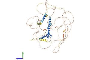 AlphaFold protein structure predicition of Mouse Recombinant Tcf3 Protein, UniprotID P15806 (TCF3 Protein (AA 1-651) (His tag))