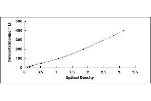 RETNLB ELISA Kit