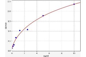 Typical standard curve (PKC epsilon ELISA Kit)