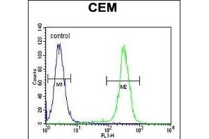 HIST1H2B Antibody (Center) (ABIN654684 and ABIN2844377) flow cytometric analysis of CEM cells (right histogram) compared to a negative control cell (left histogram). (HIST1H2BJ antibody  (AA 57-86))