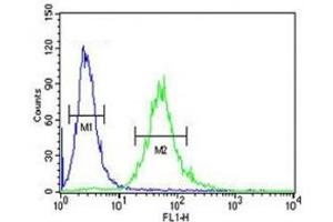 CEA antibody flow cytometric analysis of 293 cells (right histogram) compared to a negative control (left histogram). (CEA antibody  (AA 400-429))