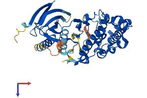 JNK Protein (AA 1-384) (His tag)