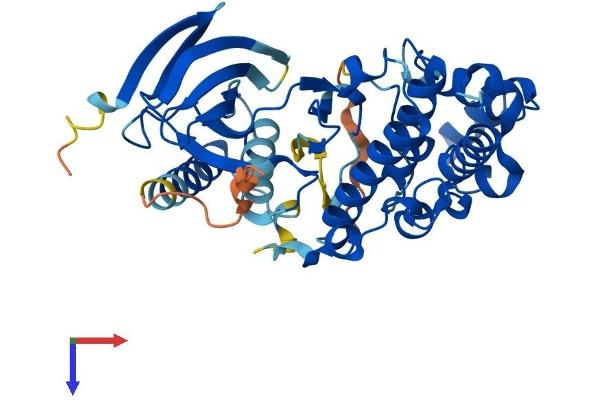 JNK Protein (AA 1-384) (His tag)