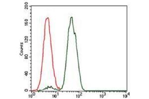 Flow cytometric analysis of Jurkat cells using NCK1 mouse mAb (green) and negative control (red). (NCK1 antibody)