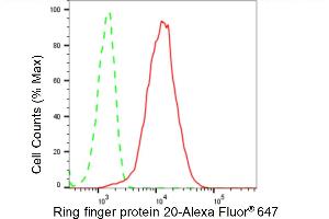Flow cytometric analysis of Ring finger protein 20 expression in HeLa cells using Ring finger protein 20 antibody (ABIN7800246), 1:2,000). (Recombinant RNF20 antibody)