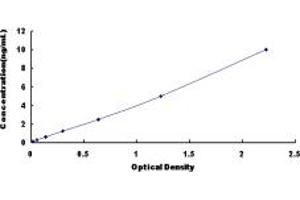 GPC2 ELISA Kit