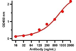 ELISA Validation with SARS-CoV-2 (COVID-19) Spike Recombinant ProteinAntibodies: SARS-CoV-2 (COVID-19) Spike antibody, ABIN6952968 (1 μg/mL). (SARS-CoV-2 Spike antibody  (RBD))