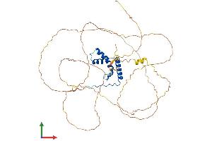 AlphaFold protein structure predicition of Human Recombinant SOX4 Protein, UniprotID Q06945 (SOX4 Protein (AA 1-474) (His tag))