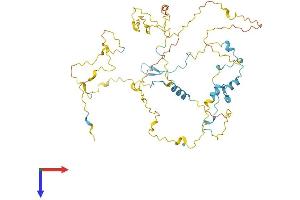 AlphaFold protein structure predicition of Human Recombinant STPG2 Protein, UniprotID Q8N412
