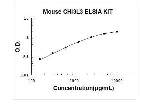 Chitinase 3-Like 3 (CHI3L3) ELISA Kit
