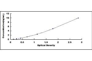 Typical standard curve