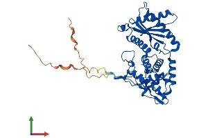 AlphaFold protein structure predicition of Mouse Recombinant Ilf2 Protein, UniprotID Q9CXY6