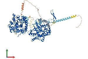 AlphaFold protein structure predicition of Mouse Recombinant Klb Protein, UniprotID Q99N32 (Klotho beta Protein (KLB) (AA 1-1043) (His tag))