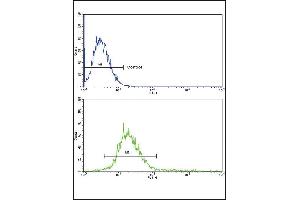 RECK Antibody (Center) (ABIN653207 and ABIN2842749) flow cytometric analysis of k562 cells (bottom histogram) compared to a negative control cell (top histogram). (RECK antibody  (AA 430-456))