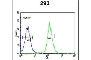 CDC45L Antibody (Center) (ABIN653837 and ABIN2843101) flow cytometric analysis of 293 cells (right histogram) compared to a negative control cell (left histogram). (CDC45 antibody  (AA 236-263))