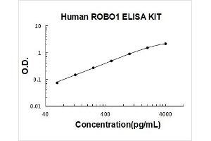 Roundabout, Axon Guidance Receptor, Homolog 1 (ROBO1) ELISA Kit