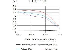 Black line: Control Antigen (100 ng),Purple line: Antigen (10 ng), Blue line: Antigen (50 ng), Red line:Antigen (100 ng) (Ectodysplasin A2 Receptor antibody  (AA 1-138))