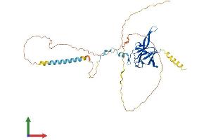 AlphaFold protein structure predicition of Mouse Recombinant Snip1 Protein, UniprotID Q8BIZ6