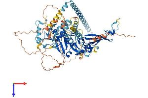 AlphaFold protein structure predicition of Human Recombinant USP49 Protein, UniprotID Q70CQ1 (USP49 Protein (AA 1-688) (His tag))