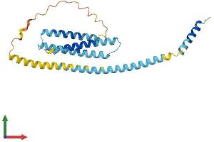 AlphaFold protein structure predicition of Mouse Recombinant Stx8 Protein, UniprotID O88983