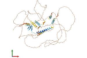 AlphaFold protein structure predicition of Mouse Recombinant Hjurp Protein, UniprotID Q6PG16 (HJURP Protein (AA 1-667) (His tag))