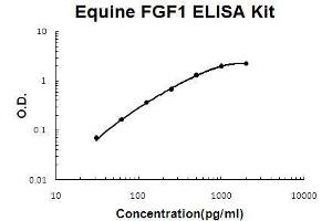 Horse equine FGF1 PicoKine ELISA Kit standard curve