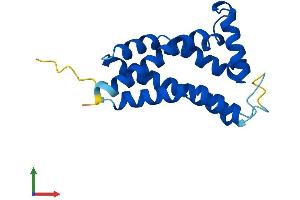 AlphaFold protein structure predicition of Human Recombinant TMEM97 Protein, UniprotID Q5BJF2 (TMEM97 Protein (AA 1-176) (His tag))