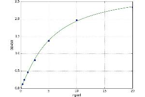A typical standard curve