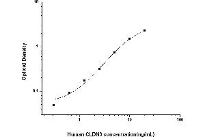 Typical standard curve (Claudin 3 ELISA Kit)