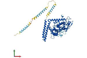 AlphaFold protein structure predicition of Mouse Recombinant Fut8 Protein, UniprotID Q9WTS2 (FUT8 Protein (AA 1-575) (His tag))
