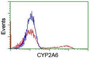 HEK293T cells transfected with either RC222995 overexpress plasmid (Red) or empty vector control plasmid (Blue) were immunostained by anti-CYP2A6 antibody (ABIN2455225), and then analyzed by flow cytometry. (CYP2A6 antibody)