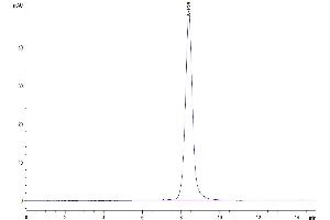 The purity of Mouse IL-18 R1 is greater than 95 % as determined by SEC-HPLC. (IL18R1 Protein (AA 20-326) (His tag))