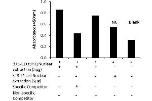Transcription factor activity assay of mouse Nrf2 from nuclear extracts of 3T3-L1 cells or 3T3-L1 cells treated with tBHQ (90uM) for 24 hr with the specific competitor or non-specific competitor. (NRF2 ELISA Kit)