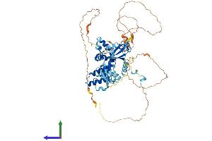 AlphaFold protein structure predicition of Human Recombinant RGS14 Protein, UniprotID O43566