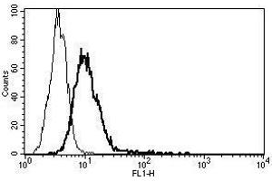 A typical staining pattern with the B-R6 monoclonal antibody of U266 cell line (IL-6 Receptor antibody)