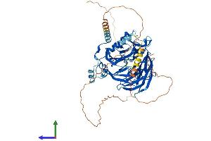 AlphaFold protein structure predicition of Mouse Recombinant Dcaf8 Protein, UniprotID Q8N7N5