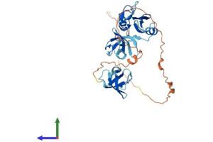 AlphaFold protein structure predicition of Human Recombinant GRAP2 Protein, UniprotID O75791 (GRAP2 Protein (AA 1-330) (His tag))