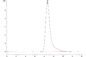 The purity of Biotinylated Human DLL4 is greater than 95 % as determined by SEC-HPLC. (DLL4 Protein (AA 27-524) (His-Avi Tag,Biotin))