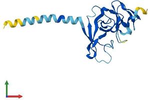 Protein Structure (PS) image for Inner Mitochondrial Membrane Peptidase Subunit 2 (IMMP2L) (AA 1-175) protein (His tag) (ABIN7548513)
