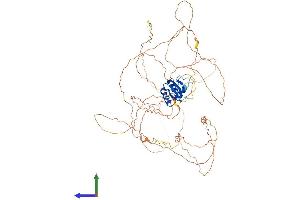 AlphaFold protein structure predicition of Human Recombinant ELF4 Protein, UniprotID Q99607