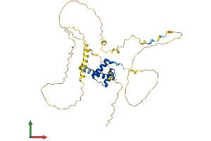 AlphaFold protein structure predicition of Human Recombinant HOXD11 Protein, UniprotID P31277 (HOXD11 Protein (AA 1-338) (His tag))