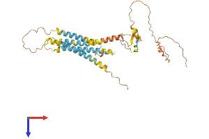 AlphaFold protein structure predicition of Human Recombinant TMEM171 Protein, UniprotID Q8WVE6 (TMEM171 Protein (AA 1-324) (His tag))