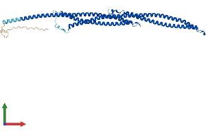 Protein Structure (PS) image for Tektin 4 (TEKT4) (AA 1-435) protein (His tag) (ABIN7544366)