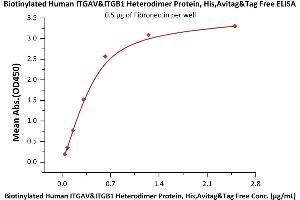 Immobilized Fibronectin at 5 μg/mL (100 μL/well) can bind Biotinylated Human ITGAV&ITGB1 Heterodimer Protein, His,Avitag&Tag Free (ABIN6731251,ABIN6809959) with a linear range of 0. (ITGAV/ITGB1 Protein (AA 31-992) (His tag,AVI tag,Biotin))