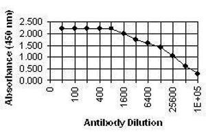 ELISA image for anti-CMV gB antibody (ABIN265541) (CMV gB antibody)