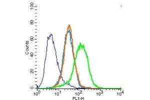 Human Jurkat cells probed with CD31 Polyclonal Antibody, Unconjugated  (green) at 1:100 for 30 minutes followed by a FITC conjugated secondary antibody compared to unstained cells (blue), secondary only (light blue), and isotype control (orange). (CD31 antibody  (AA 601-680))