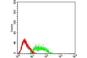 Flow cytometric analysis of HL-60 cells using SSTR2 mouse mAb (green) and negative control (red). (SSTR2 antibody)