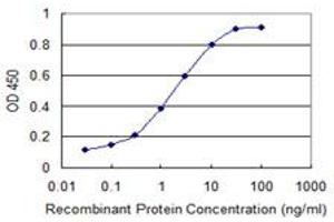 ELISA image for anti-conserved Helix-Loop-Helix Ubiquitous Kinase (CHUK) (AA 646-745) antibody (ABIN598611) (IKK alpha antibody  (AA 646-745))