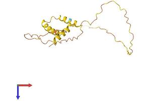 AlphaFold protein structure predicition of Human Recombinant PIK3CD-AS1 Protein, UniprotID Q5SR53 (C1orf200 Protein (AA 1-167) (His tag))
