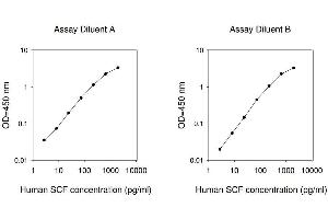 ELISA image for KIT Ligand (KITLG) ELISA Kit (ABIN625083) (KIT Ligand ELISA Kit)